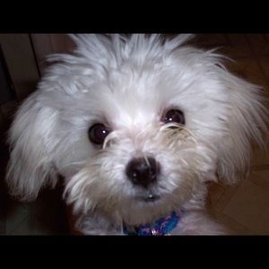 Meet your Posher, Jackie